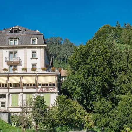 Hostel Budget Waldhotel Unspunnen Interlaken